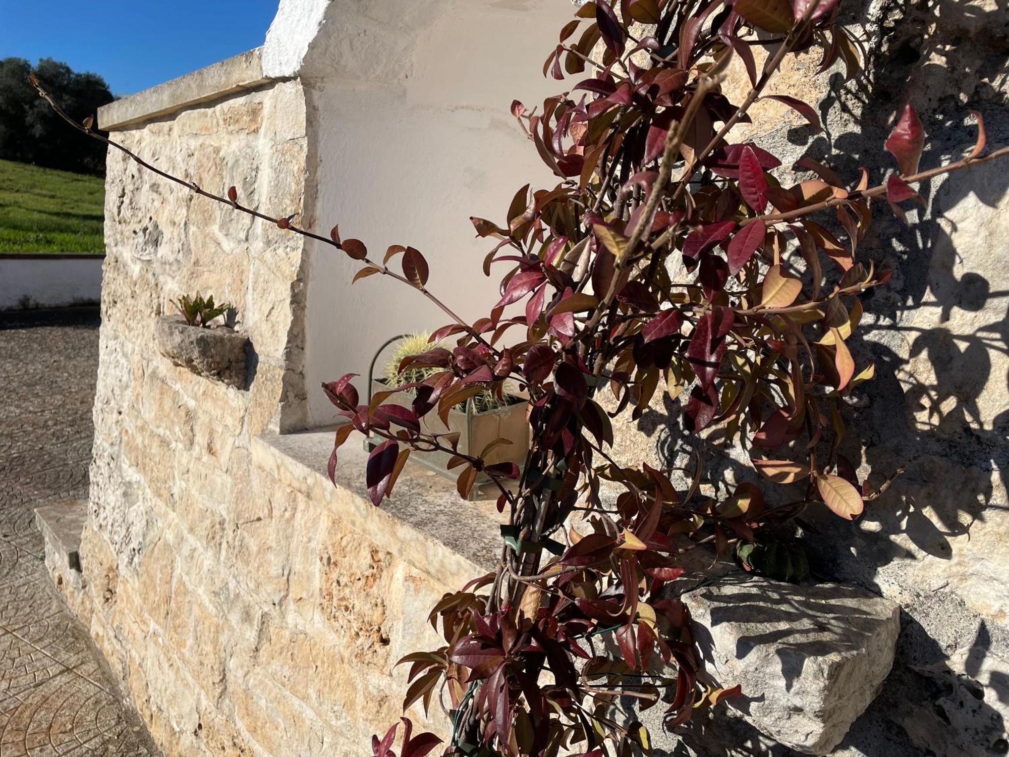 Vila Trulli Del Sole Martina Franca Exteriér fotografie