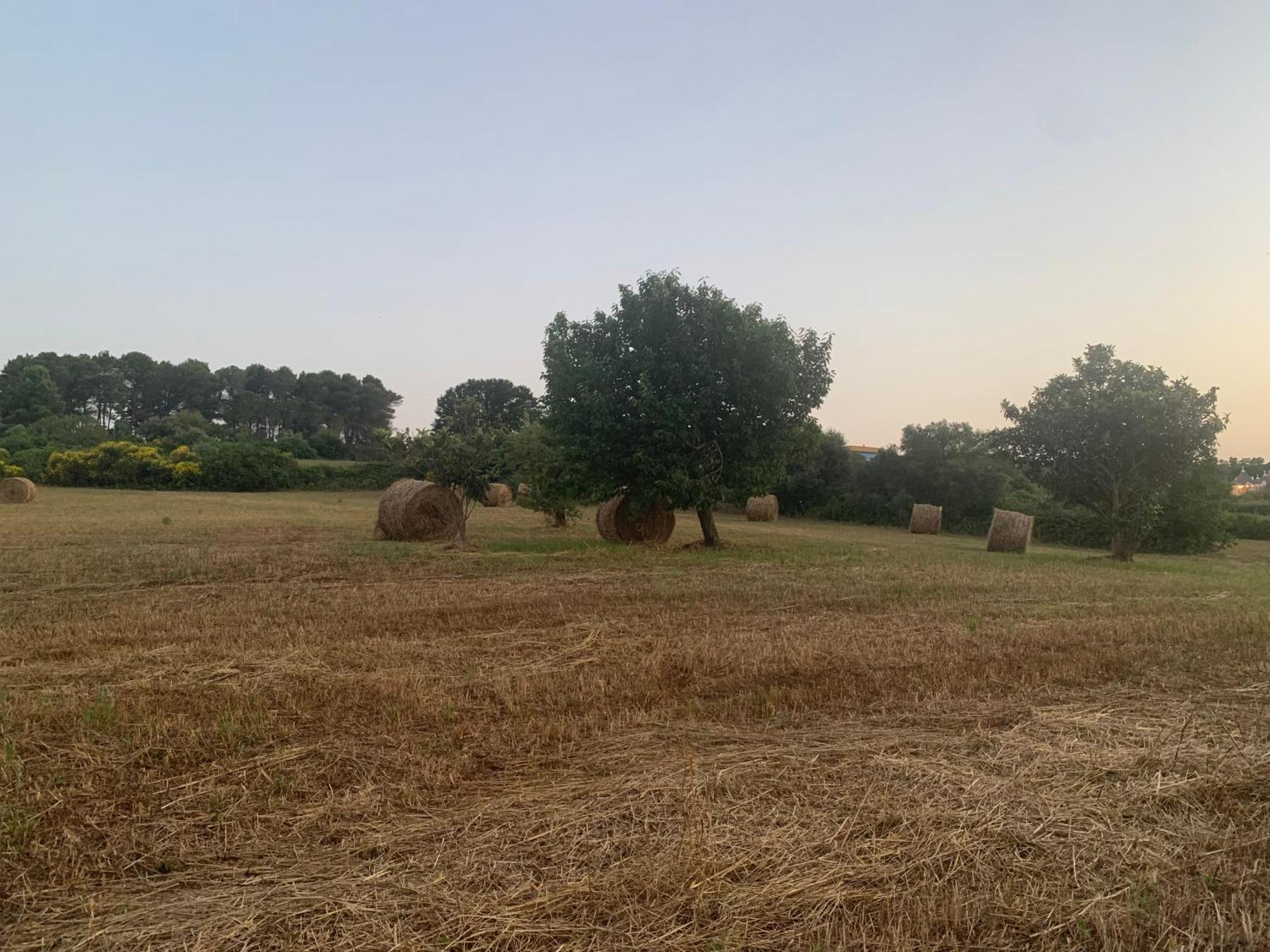 Vila Trulli Del Sole Martina Franca Exteriér fotografie