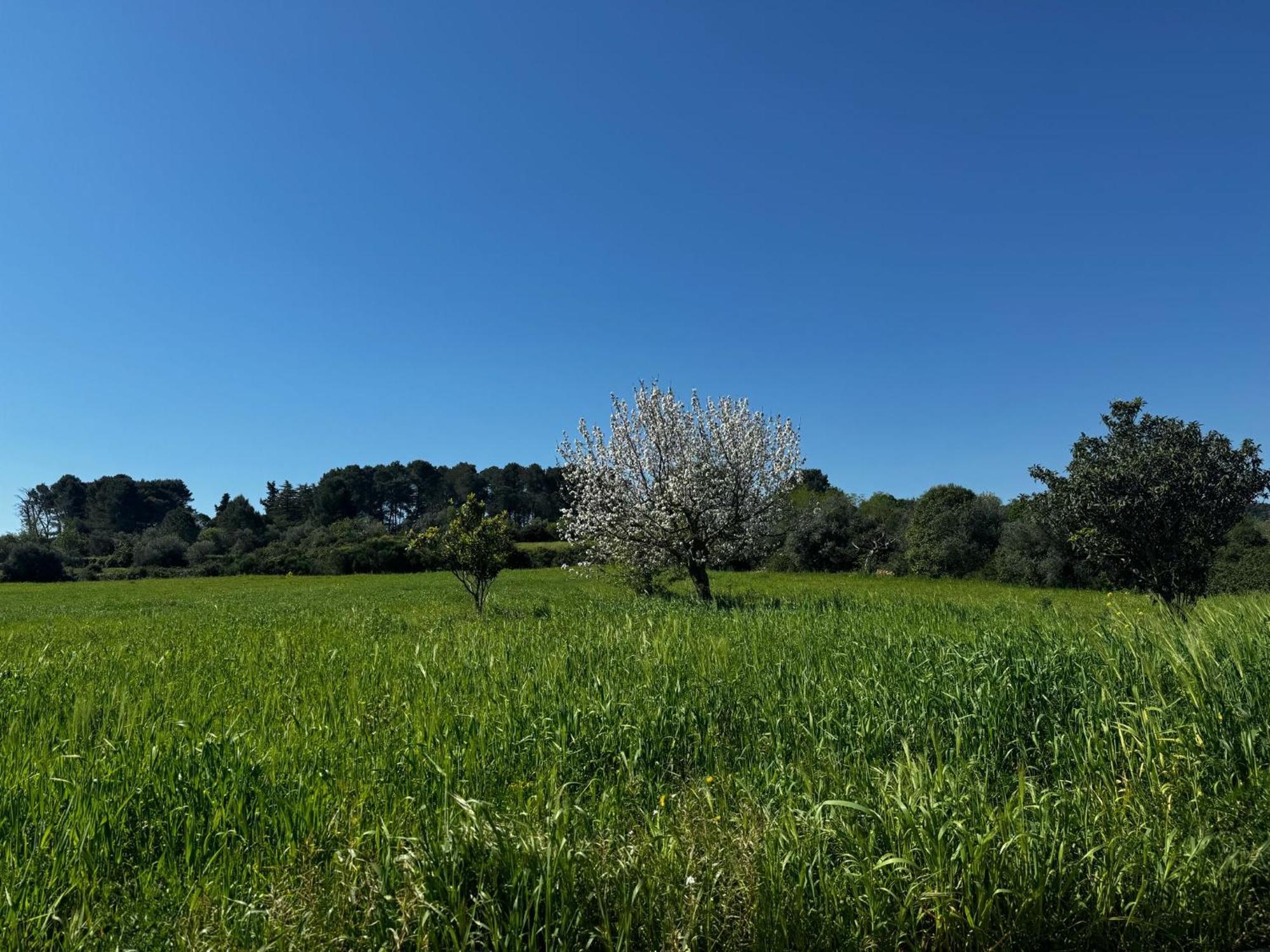 Vila Trulli Del Sole Martina Franca Exteriér fotografie